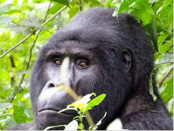 Places to visit in Rwanda