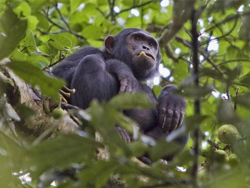 Places to visit in Rwanda