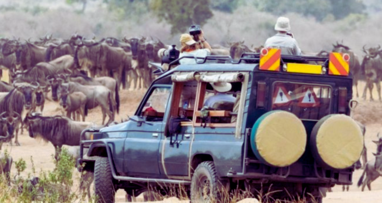 Unlock the Pearl: Why 2026 is the Ultimate Year for Your Uganda Safari Adventure