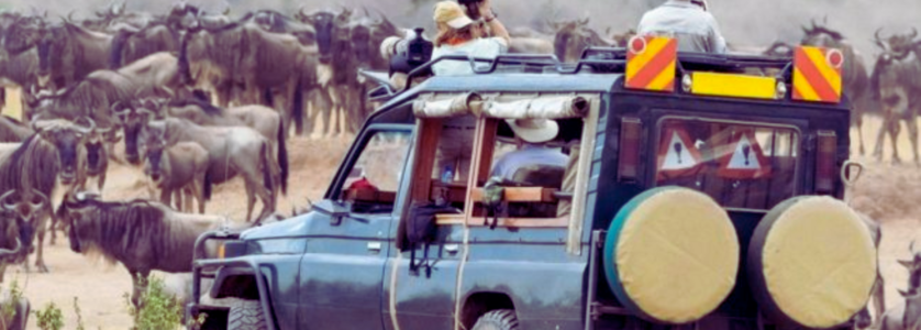 Unlock the Pearl: Why 2026 is the Ultimate Year for Your Uganda Safari Adventure