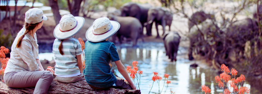 Best Safari in Rwanda: Gorilla Trekking & Rwanda Safari Packages