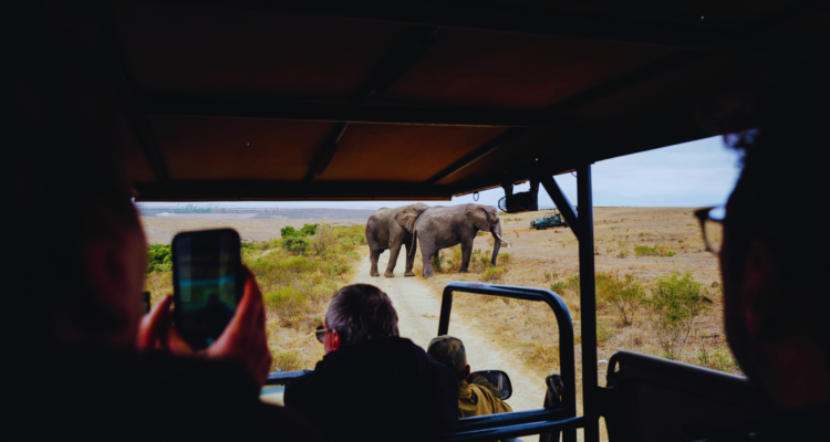 Rwanda Safaris & Tours