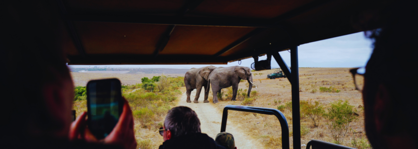 Rwanda Safaris & Tours